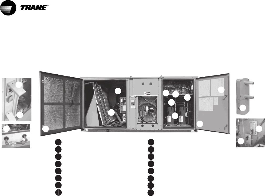 trane voyager black book