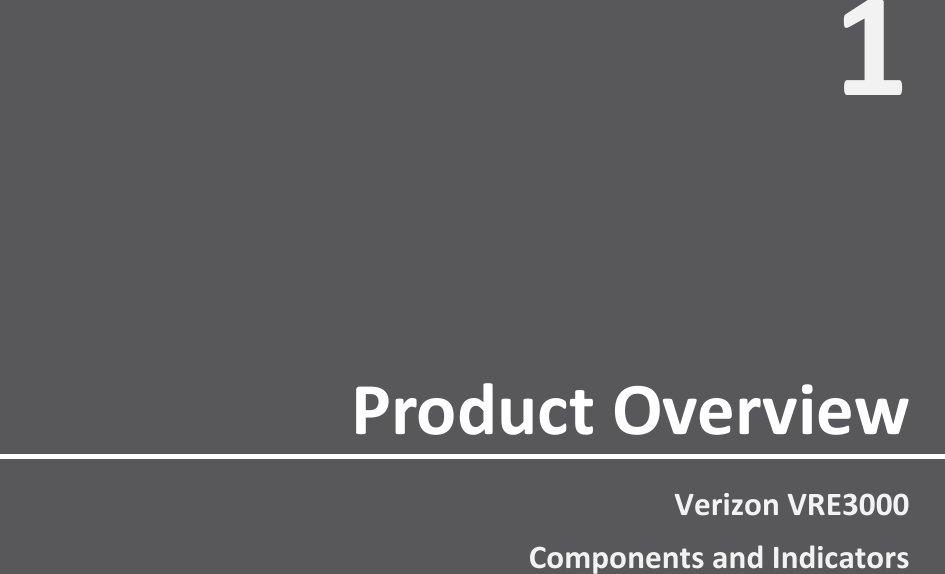       1 Verizon VRE3000 Components and Indicators Product Overview 