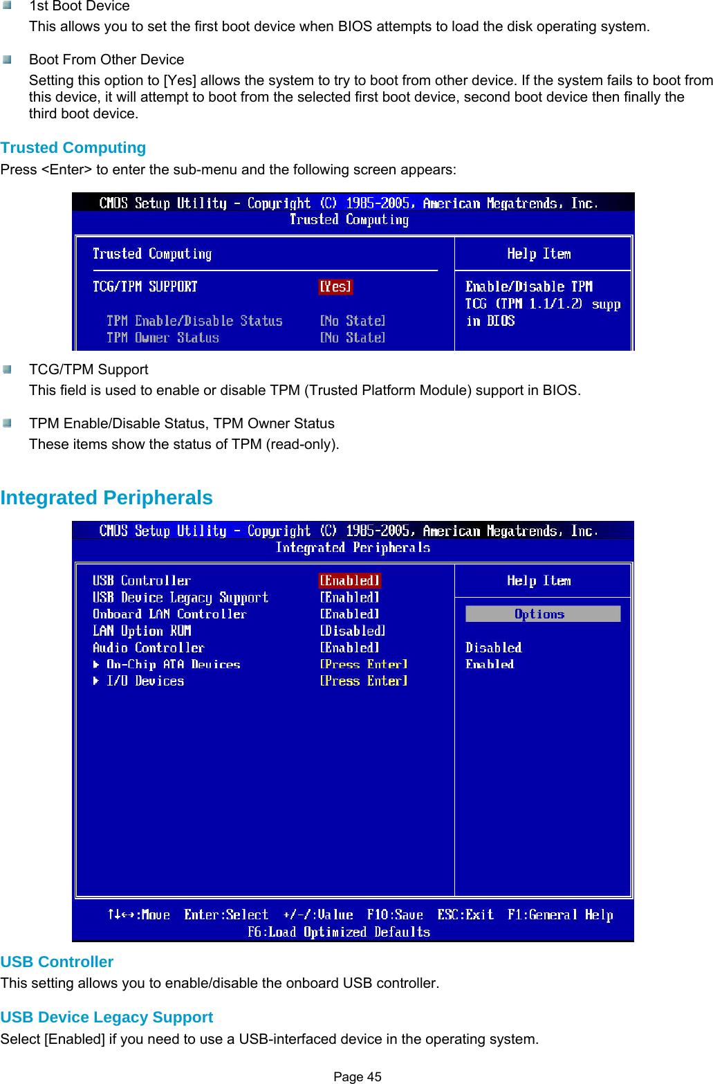 Page 45   1st Boot Device This allows you to set the first boot device when BIOS attempts to load the disk operating system.    Boot From Other Device Setting this option to [Yes] allows the system to try to boot from other device. If the system fails to boot from this device, it will attempt to boot from the selected first boot device, second boot device then finally the third boot device.  Trusted Computing Press &lt;Enter&gt; to enter the sub-menu and the following screen appears:   TCG/TPM Support This field is used to enable or disable TPM (Trusted Platform Module) support in BIOS.    TPM Enable/Disable Status, TPM Owner Status These items show the status of TPM (read-only).   Integrated Peripherals  USB Controller This setting allows you to enable/disable the onboard USB controller.  USB Device Legacy Support Select [Enabled] if you need to use a USB-interfaced device in the operating system. 