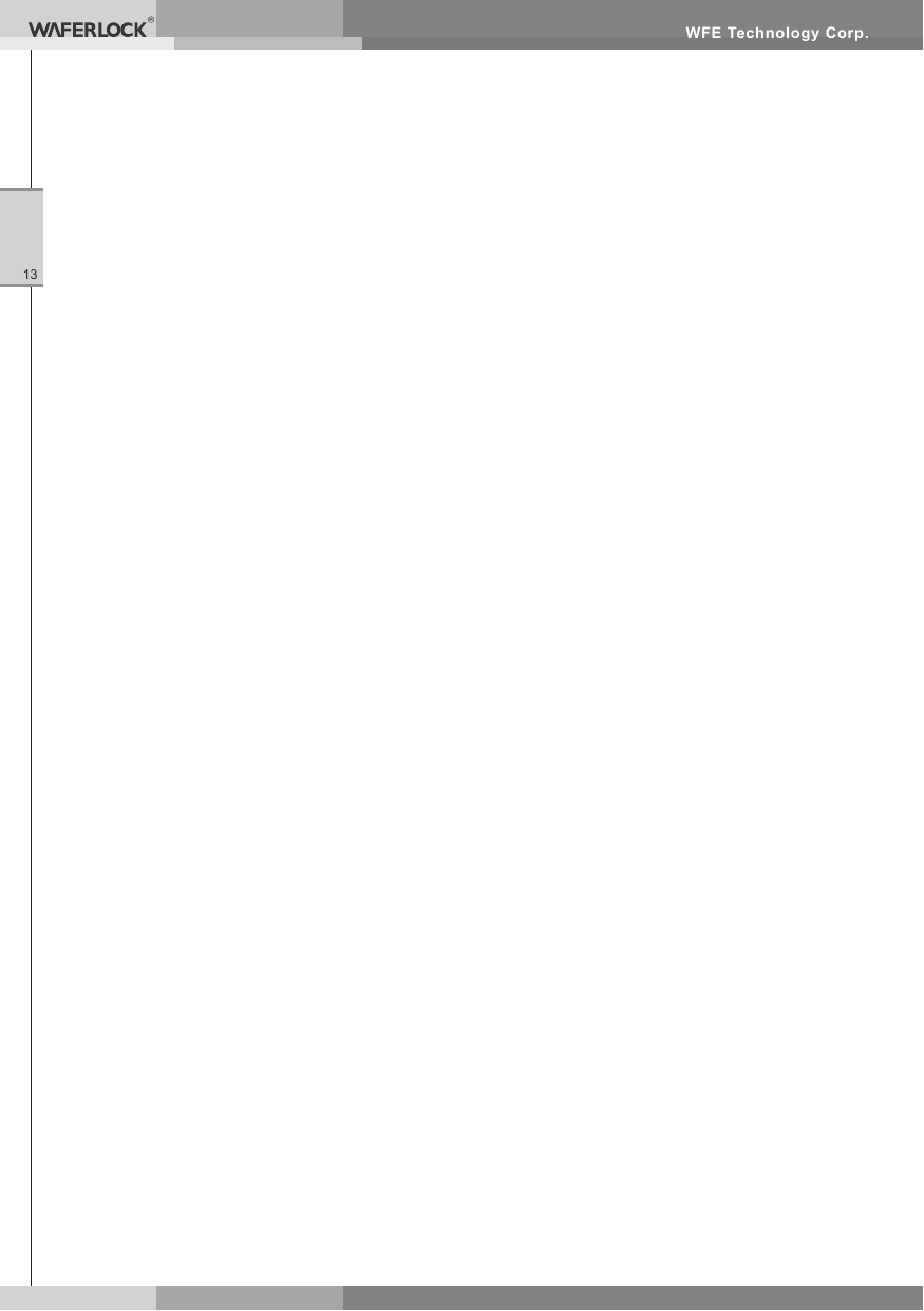 WFE Technology Corp.13