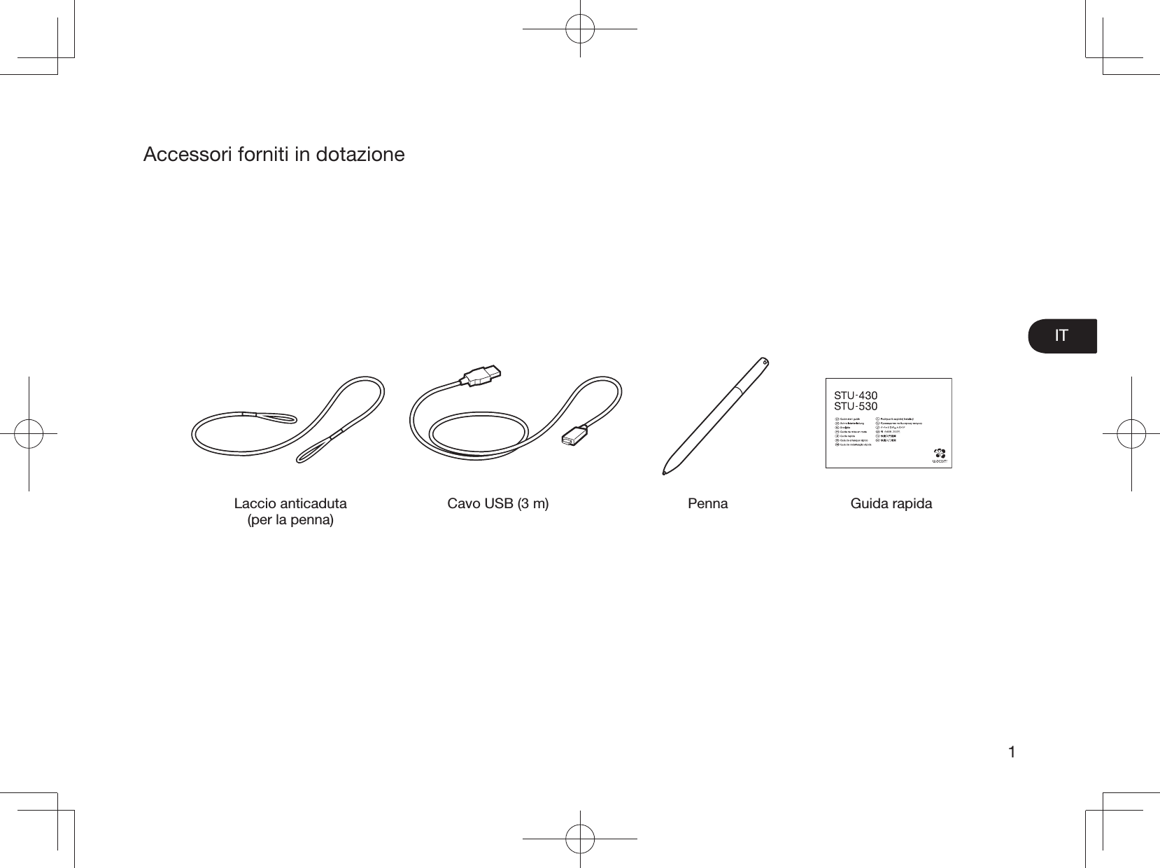 IT1Accessori forniti in dotazioneLaccio anticaduta (per la penna)Cavo USB (3 m) Penna Guida rapida