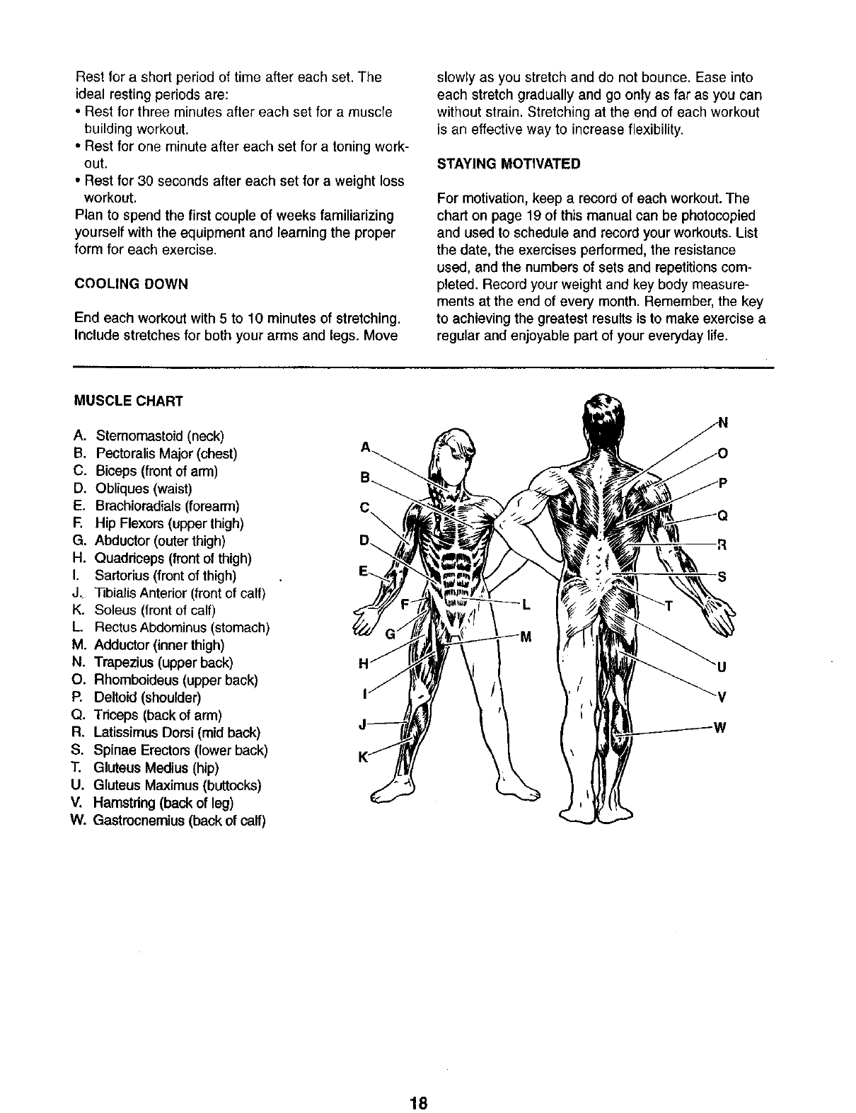 Weider 831153951 User Manual CROSSBOW BY Manuals And Guides L0303161