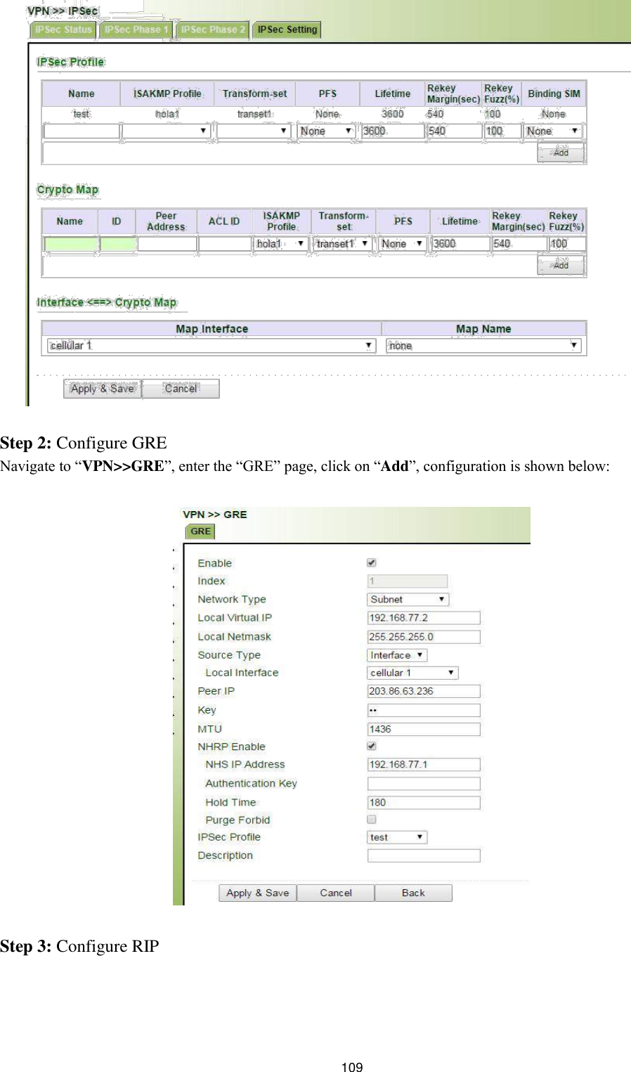                             Step 2: Configure GRE  Navigate to “VPN&gt;&gt;GRE”, enter the “GRE” page, click on “Add”, configuration is shown below:                                Step 3: Configure RIP        109 