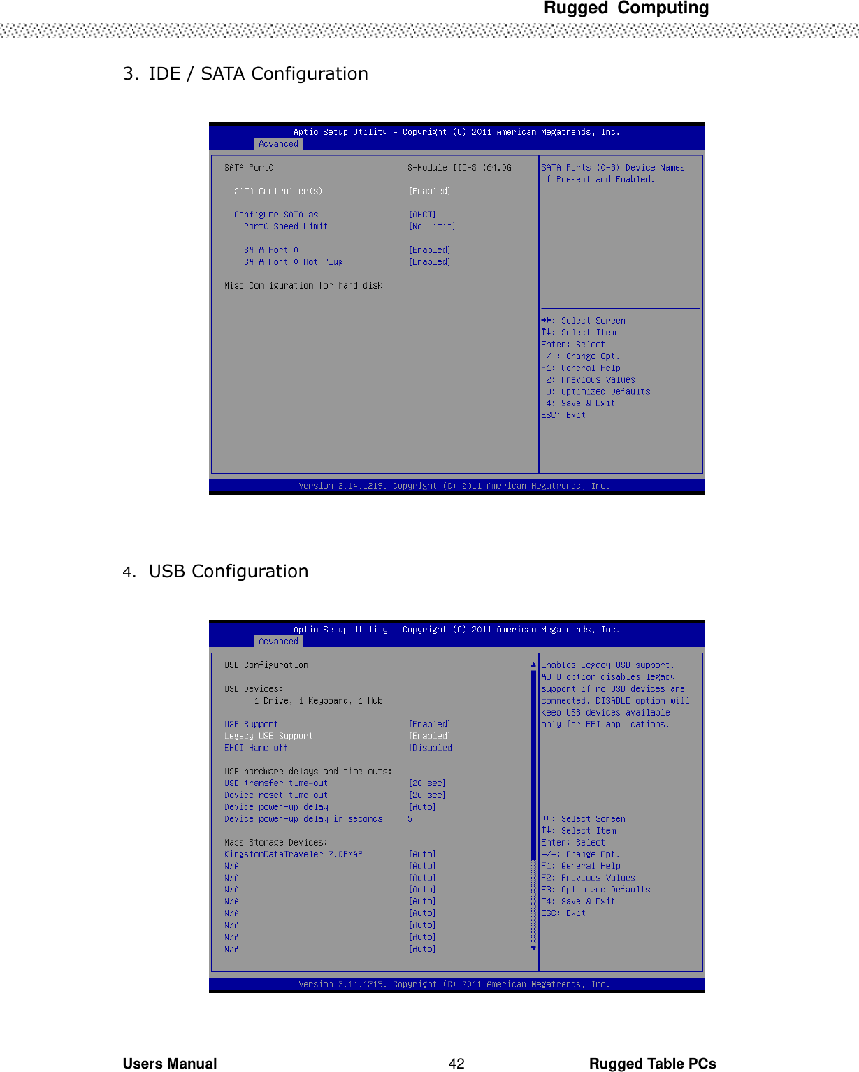 Rugged  Computing             Users Manual                                                                                                      Rugged Table PCs 42 3. IDE / SATA Configuration     4. USB Configuration     