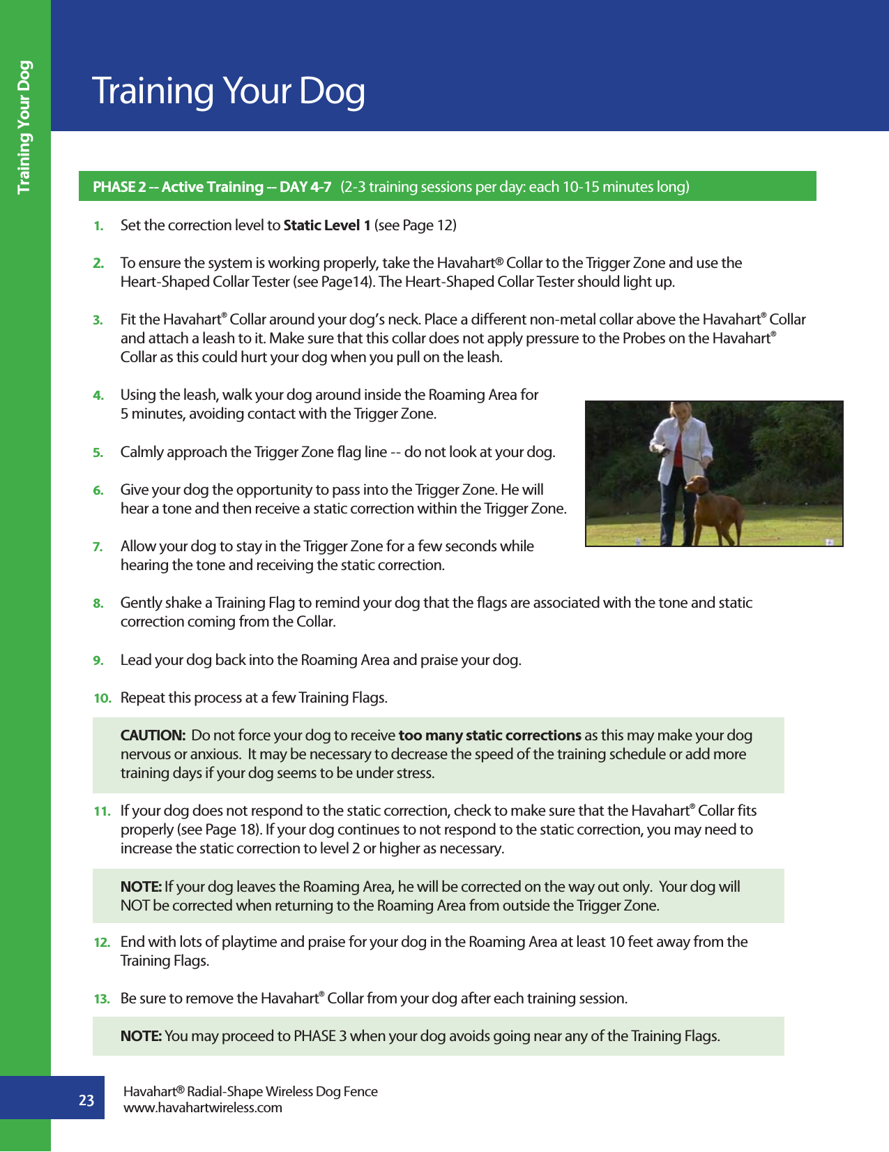 23Training Your DogTraining Your DogHavahart® Radial-Shape Wireless Dog Fencewww.havahartwireless.comPHASE 2 -- Active Training -- DAY 4-7   (2-3 training sessions per day: each 10-15 minutes long)1.   Set the correction level to Static Level 1 (see Page 12)2.   To ensure the system is working properly, take the Havahart® Collar to the Trigger Zone and use the   Heart-Shaped Collar Tester (see Page14). The Heart-Shaped Collar Tester should light up. 3.   Fit the Havahart® Collar around your dog’s neck. Place a different non-metal collar above the Havahart® Collar    and attach a leash to it. Make sure that this collar does not apply pressure to the Probes on the Havahart®   Collar as this could hurt your dog when you pull on the leash.  4.   Using the leash, walk your dog around inside the Roaming Area for   5 minutes, avoiding contact with the Trigger Zone.5.   Calmly approach the Trigger Zone flag line -- do not look at your dog.6.   Give your dog the opportunity to pass into the Trigger Zone. He will   hear a tone and then receive a static correction within the Trigger Zone. 7.   Allow your dog to stay in the Trigger Zone for a few seconds while   hearing the tone and receiving the static correction.8.   Gently shake a Training Flag to remind your dog that the flags are associated with the tone and static   correction coming from the Collar.9.   Lead your dog back into the Roaming Area and praise your dog. 10.   Repeat this process at a few Training Flags. CAUTION:  Do not force your dog to receive too many static corrections as this may make your dog   nervous or anxious.  It may be necessary to decrease the speed of the training schedule or add more   training days if your dog seems to be under stress. 11.   If your dog does not respond to the static correction, check to make sure that the Havahart® Collar fits   properly (see Page 18). If your dog continues to not respond to the static correction, you may need to   increase the static correction to level 2 or higher as necessary. NOTE: If your dog leaves the Roaming Area, he will be corrected on the way out only.  Your dog will   NOT be corrected when returning to the Roaming Area from outside the Trigger Zone.12.   End with lots of playtime and praise for your dog in the Roaming Area at least 10 feet away from the  Training Flags.13.   Be sure to remove the Havahart® Collar from your dog after each training session.  NOTE: You may proceed to PHASE 3 when your dog avoids going near any of the Training Flags.