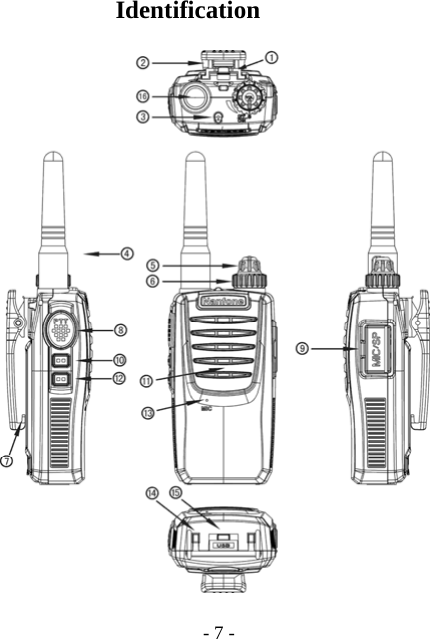  - 7 -  Identification                 