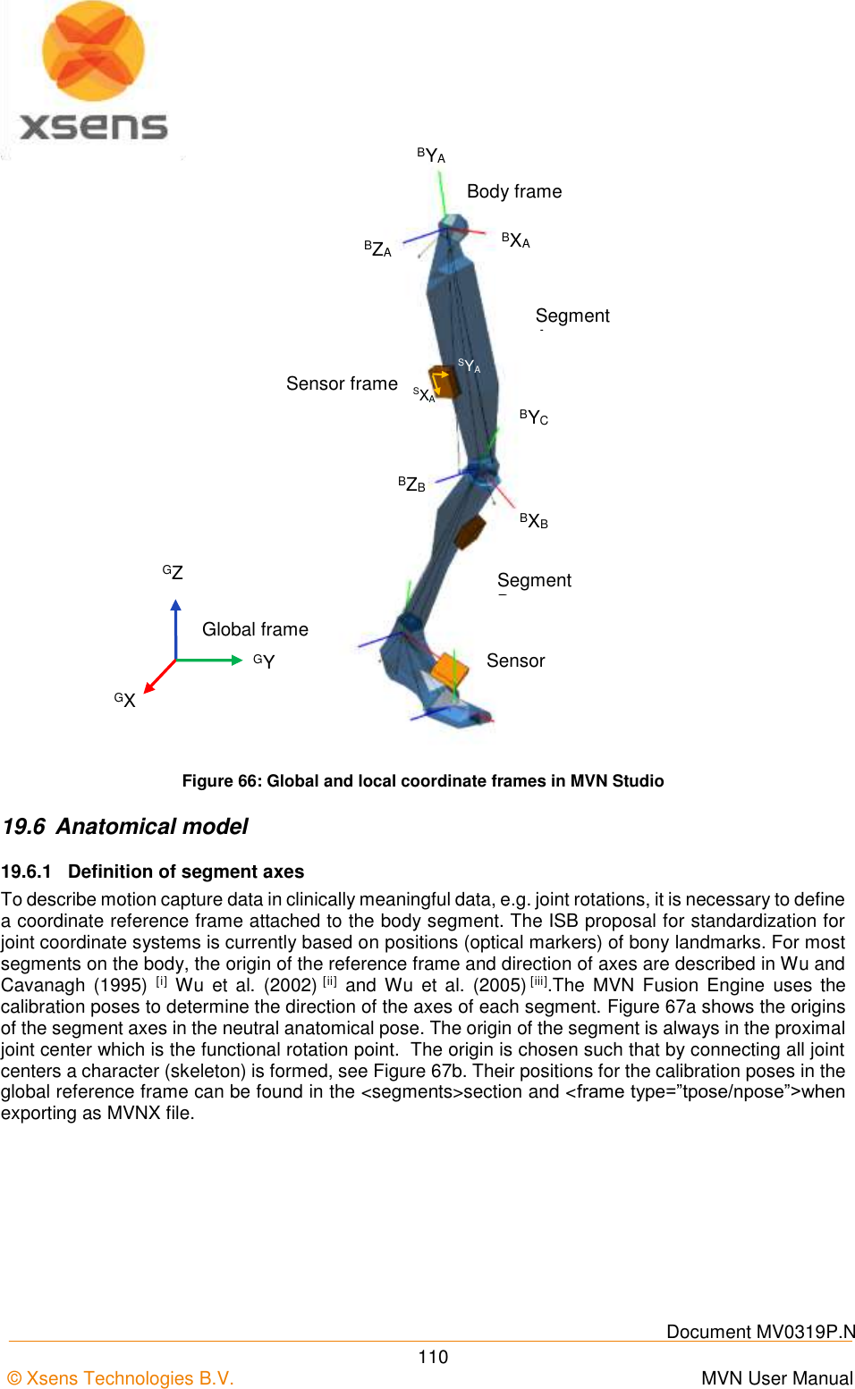    Document MV0319P.N © Xsens Technologies B.V.      MVN User Manual  110  Figure 66: Global and local coordinate frames in MVN Studio 19.6  Anatomical model 19.6.1  Definition of segment axes To describe motion capture data in clinically meaningful data, e.g. joint rotations, it is necessary to define a coordinate reference frame attached to the body segment. The ISB proposal for standardization for joint coordinate systems is currently based on positions (optical markers) of bony landmarks. For most segments on the body, the origin of the reference frame and direction of axes are described in Wu and Cavanagh  (1995)  [i]  Wu  et  al.  (2002) [ii]  and  Wu  et  al.  (2005) [iii].The  MVN  Fusion  Engine  uses the calibration poses to determine the direction of the axes of each segment. Figure 67a shows the origins of the segment axes in the neutral anatomical pose. The origin of the segment is always in the proximal joint center which is the functional rotation point.  The origin is chosen such that by connecting all joint centers a character (skeleton) is formed, see Figure 67b. Their positions for the calibration poses in the global reference frame can be found in the &lt;segments&gt;section and &lt;frame type=”tpose/npose”&gt;when exporting as MVNX file. Segment A Segment B Sensor BYA BXA BZA BXB BYC BZB SXA SYA Body frame Sensor frame GZ GX GY Global frame 