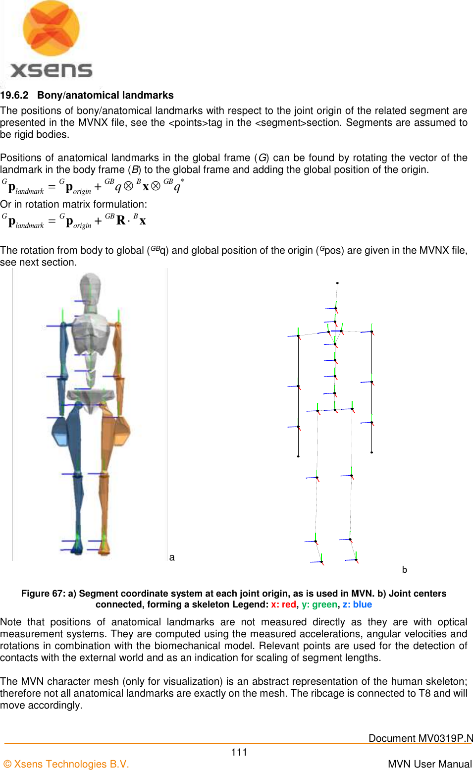    Document MV0319P.N © Xsens Technologies B.V.      MVN User Manual  111 19.6.2  Bony/anatomical landmarks The positions of bony/anatomical landmarks with respect to the joint origin of the related segment are presented in the MVNX file, see the &lt;points&gt;tag in the &lt;segment&gt;section. Segments are assumed to be rigid bodies.  Positions of anatomical landmarks in the global frame (G) can be found by rotating the vector of the landmark in the body frame (B) to the global frame and adding the global position of the origin. *G G GB B GBlandmark origin + q q  p p x Or in rotation matrix formulation: G G GB Blandmark origin +p p R x  The rotation from body to global (GBq) and global position of the origin (Gpos) are given in the MVNX file, see next section. a b Figure 67: a) Segment coordinate system at each joint origin, as is used in MVN. b) Joint centers connected, forming a skeleton Legend: x: red, y: green, z: blue Note  that  positions  of  anatomical  landmarks  are  not  measured  directly  as  they  are  with  optical measurement systems. They are computed using the measured accelerations, angular velocities and rotations in combination with the biomechanical model. Relevant points are used for the detection of contacts with the external world and as an indication for scaling of segment lengths.  The MVN character mesh (only for visualization) is an abstract representation of the human skeleton; therefore not all anatomical landmarks are exactly on the mesh. The ribcage is connected to T8 and will move accordingly. 