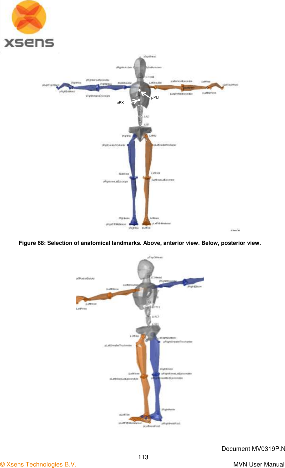    Document MV0319P.N © Xsens Technologies B.V.      MVN User Manual  113  Figure 68: Selection of anatomical landmarks. Above, anterior view. Below, posterior view.  pPIJ pPX 