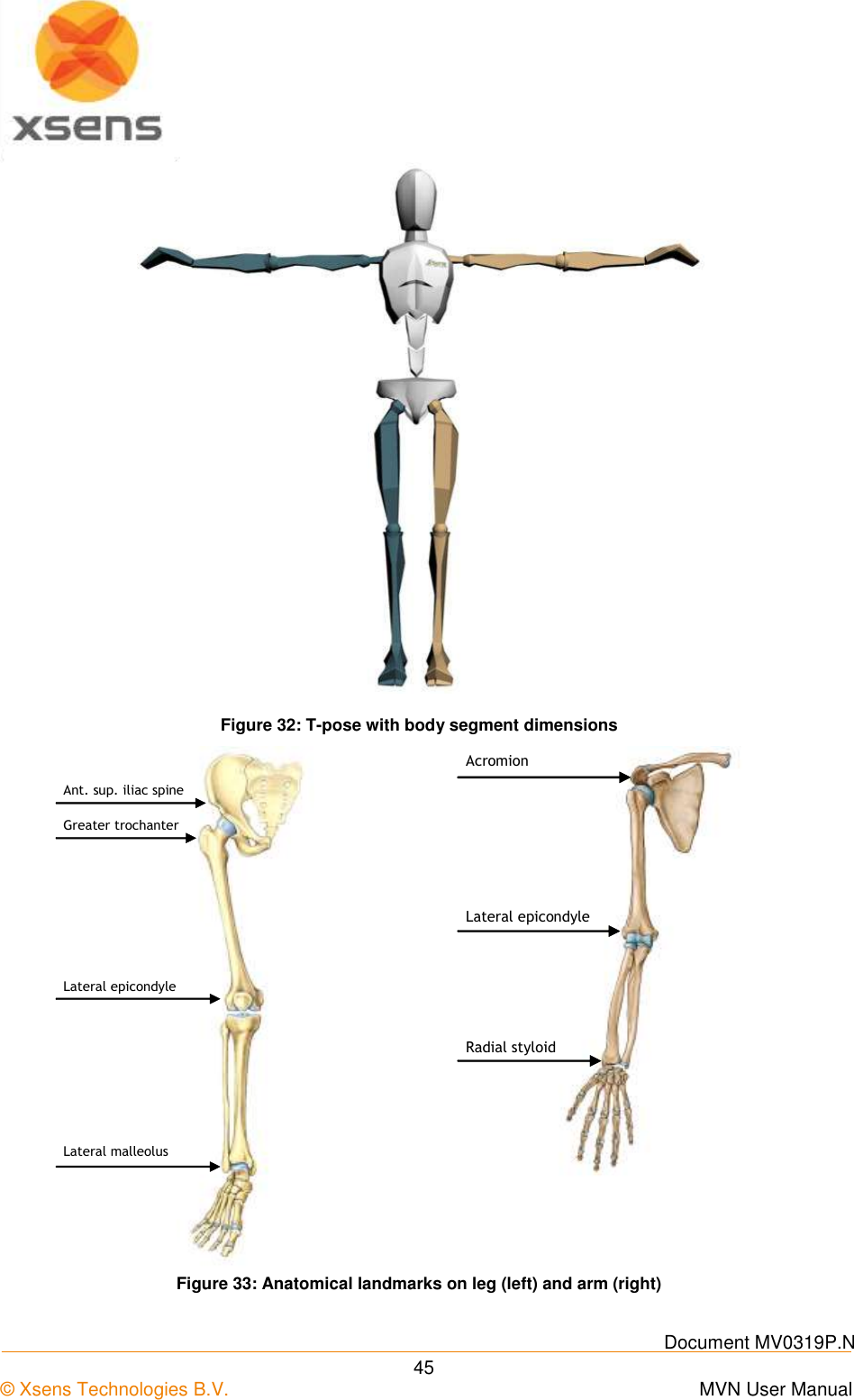    Document MV0319P.N © Xsens Technologies B.V.      MVN User Manual  45  Figure 32: T-pose with body segment dimensions    Figure 33: Anatomical landmarks on leg (left) and arm (right)  Greater trochanter Lateral epicondyle Lateral malleolus  Ant. sup. iliac spine  Lateral epicondyle Radial styloid Acromion 