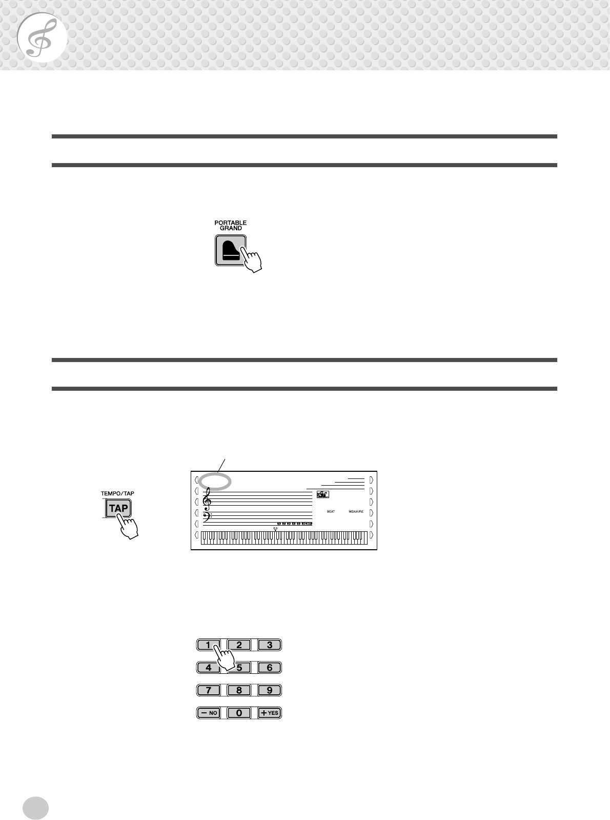 Yamaha Portablegrand Dgx 300 Users Manual Dgx500 300e