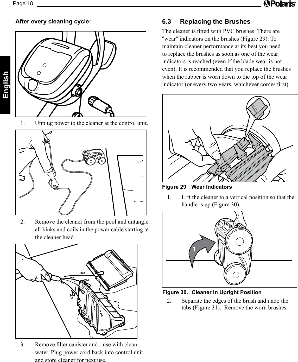 Page 18EnglishAfter every cleaning cycle:1.  Unplug power to the cleaner at the control unit.2.  Remove the cleaner from the pool and untangle all kinks and coils in the power cable starting at the cleaner head.3. Removeltercanisterandrinsewithcleanwater. Plug power cord back into control unit and store cleaner for next use.6.3  Replacing the BrushesThecleaneristtedwithPVCbrushes.Thereare&apos;&apos;wear&apos;&apos; indicators on the brushes (Figure 29). To maintain cleaner performance at its best you need to replace the brushes as soon as one of the wear indicators is reached (even if the blade wear is not even). It is recommended that you replace the brushes when the rubber is worn down to the top of the wear indicator(oreverytwoyears,whichevercomesrst).Figure 29.  Wear Indicators1.  Lift the cleaner to a vertical position so that the handle is up (Figure 30).1Figure 30.  Cleaner in Upright Position2.  Separate the edges of the brush and undo the tabs (Figure 31).  Remove the worn brushes.