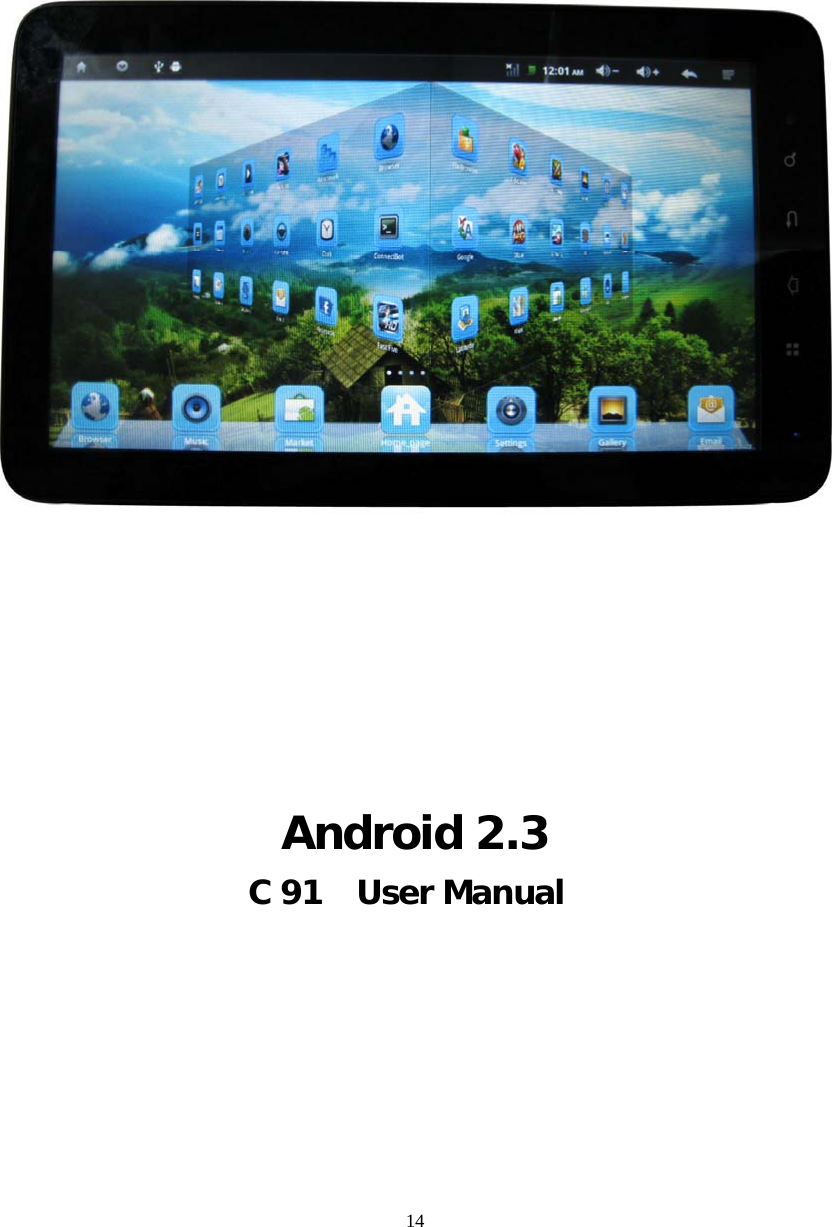 14               Android 2.3 C 91    User Manual        