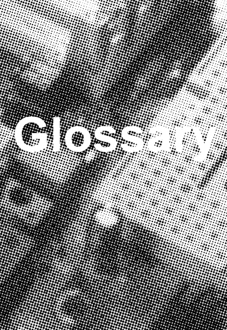 Glossary