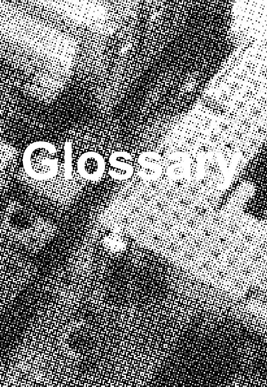 Glossary