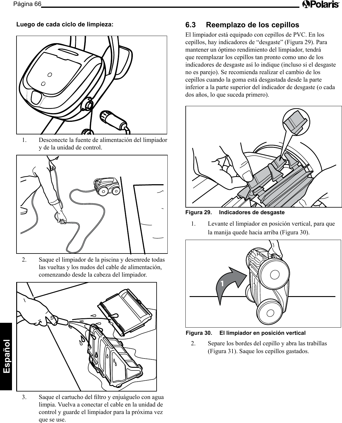 Página 66Español Luego de cada ciclo de limpieza: 1. Desconecte la fuente de alimentación del limpiador y de la unidad de control. 2. Saque el limpiador de la piscina y desenrede todas las vueltas y los nudos del cable de alimentación, comenzando desde la cabeza del limpiador. 3. Saqueelcartuchodelltroyenjuágueloconagualimpia. Vuelva a conectar el cable en la unidad de control y guarde el limpiador para la próxima vez que se use. 6.3 Reemplazo de los cepillos El limpiador está equipado con cepillos de PVC. En los cepillos,hayindicadoresde“desgaste”(Figura29).Paramantener un óptimo rendimiento del limpiador, tendrá que reemplazar los cepillos tan pronto como uno de los indicadores de desgaste así lo indique (incluso si el desgaste no es parejo). Se recomienda realizar el cambio de los cepillos cuando la goma está desgastada desde la parte inferior a la parte superior del indicador de desgaste (o cada dos años, lo que suceda primero). Figura 29. Indicadores de desgaste 1. Levante el limpiador en posición vertical, para que la manija quede hacia arriba (Figura 30). 1Figura 30. El limpiador en posición vertical 2. Separe los bordes del cepillo y abra las trabillas (Figura 31). Saque los cepillos gastados.