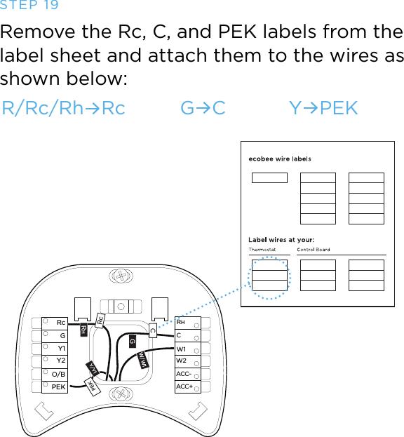 RcGY1Y2O/BPEKACC-ACC+W2W1RHCRcRHGCW/W1PEKY/Y1STEP 19Remove the Rc, C, and PEK labels from the label sheet and attach them to the wires as shown below: R/Rc/Rh   Rc G   C Y   PEK