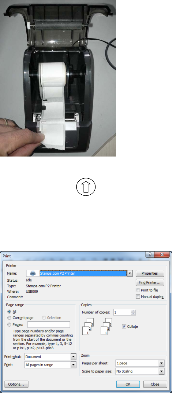 XIAMEN SCALETECH SDCP2PRN Model P2 Printer User Manual