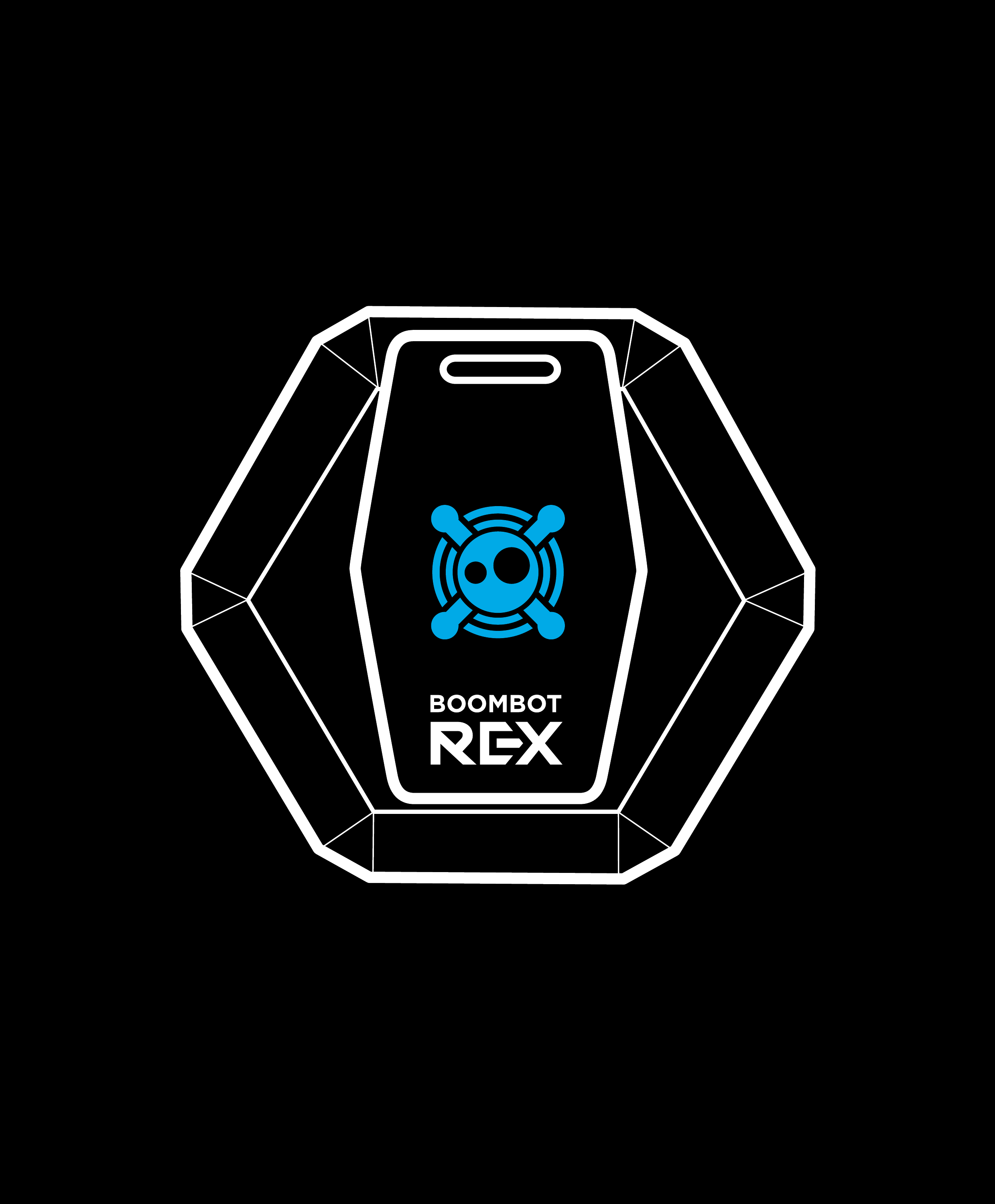 BOOMBOTIX REX Portable Speaker User Manual Manual