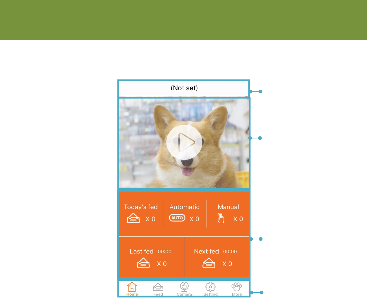 GuangZhou XiaoPai Technology FX801 Smart Pet Feeder User Manual