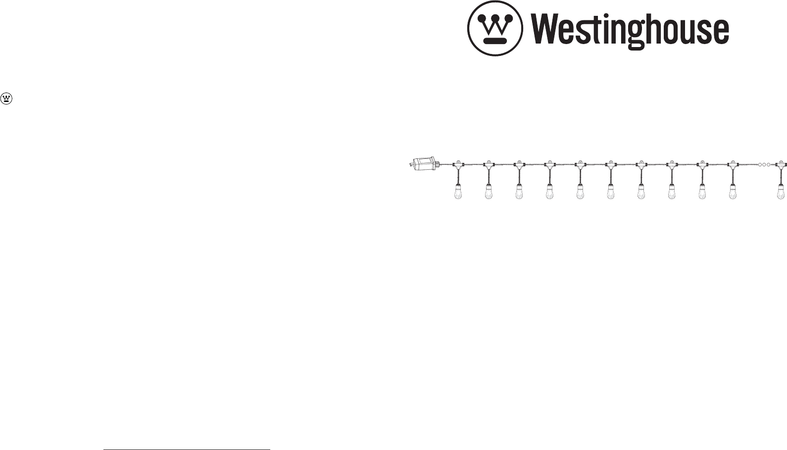 Quanxin Ligting and Electrical Q83BU050808 LED String Light User