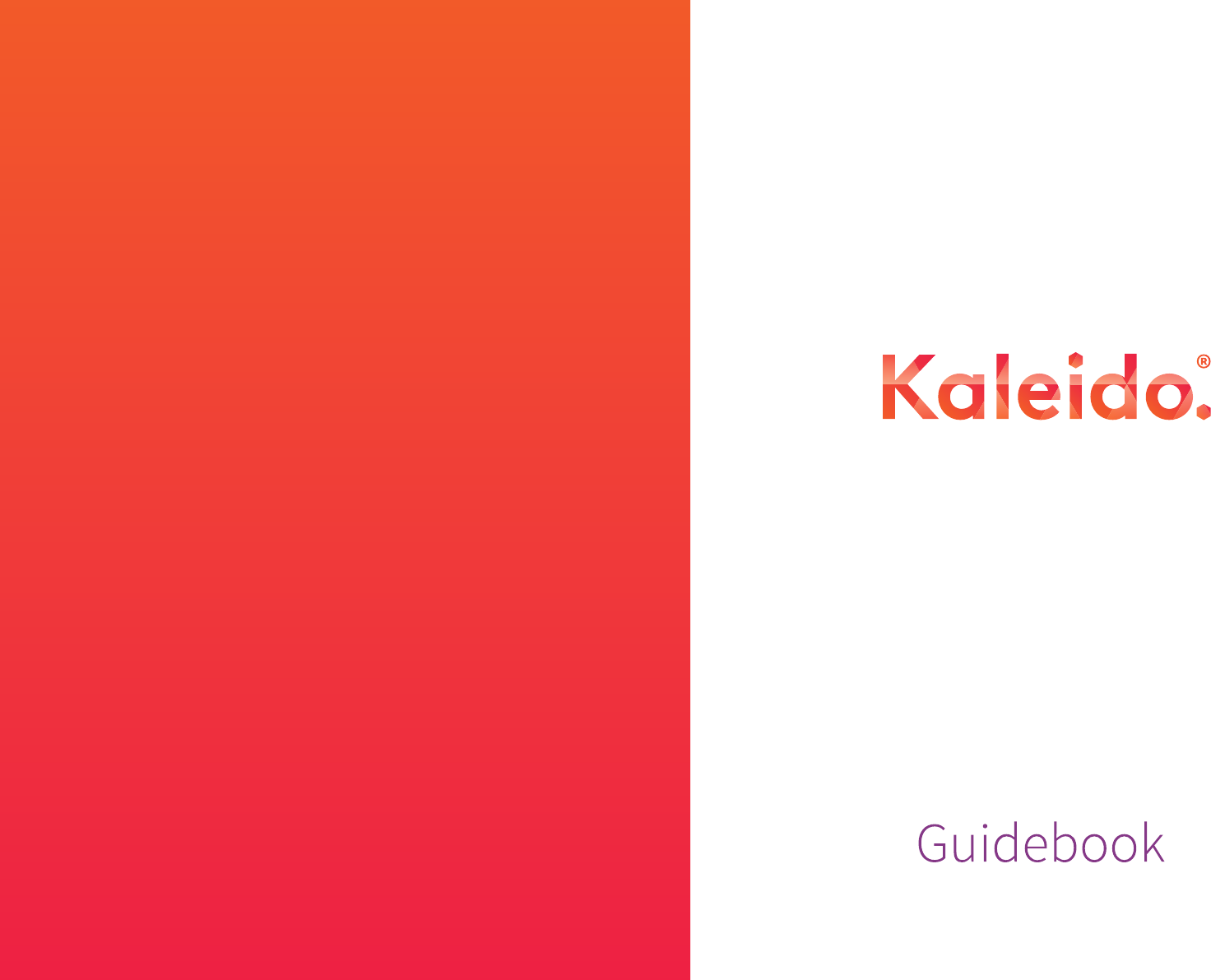 ViCentra B V 300099 Kaleido Insulin Infusion Pump using BLE User Manual