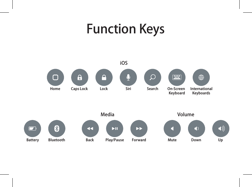 Function KeysMedia  Volume iOSHome  Caps LockBattery Back MuteBluetooth Play/Pause DownForward UpLock SearchSiri On-Screen Keyboard InternationalKeyboards