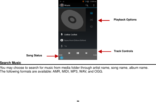 30  Search Music                                                                                                     You may choose to search for music from media folder through artist name, song name, album name.    The following formats are available: AMR, MIDI, MP3, WAV, and OGG.  Song Status Track Controls Playback Options    